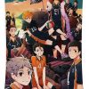 1 haikyuu karasuno team janic tilton 1 - Anime Tapestry Shop