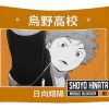 haikyuu shoyo hinata karasuno high school mhammed el garni transparent - Anime Tapestry Shop